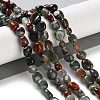 Natural African Bloodstone Beads Strands G-P497-01C-22-2