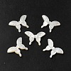 Natural White Shell Beads SHEL-M021-09A-2