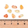 Transparent Acrylic Beads OACR-N137-44C-3