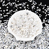 Glass Seed Beads SEED-N007-13A-2