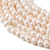 Natural Cultured Freshwater Pearl Beads Strands PEAR-L034-16A-3