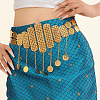 Alloy Crystal Rhinestone Rectangle Coin Tassel Waist Belly Chains for Women FS-WGD33E3-01-1