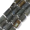 Natural Labradorite Beads Strands G-C270-K19-02-2