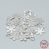 925 Sterling Silver Charms STER-T002-290S-1