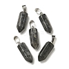 Natural Labradorite Pendants G-Z067-07P-24-1