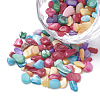 Shell Beads SHEL-R020-M-2