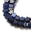 Natural Lapis Lazuli Beads Strands G-G085-B02-02-3