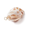 Natural Spiral Shell Pendants PALLOY-JF02949-5