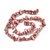 Natural Freshwater Shell Beads Strands BSHE-H018-07B-2