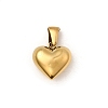 304 Stainless Steel Charms STAS-B094-02A-G-1