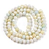 Faceted Electroplated Glass Beads Strands X-GLAA-C023-02-A02-2