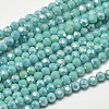 Faceted Round Full Rainbow Plated Electroplate Glass Beads Strands EGLA-J130-FR03-1