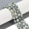 Natural Myanmar Jade Beads Strands G-O201B-121F-1