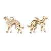 Brass Micro Pave Clear Cubic Zirconia Pendants ZIRC-H110-02G-2