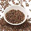 Glass Seed Beads X1-SEED-H002-B-D204-2