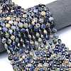Natural Sodalite Beads Strands G-C116-A80-02-1