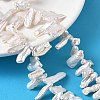 Natural Baroque Keshi Pearl Beads Strands PEAR-P064-02A-06B-1