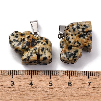 Natural Dalmatian Jasper Pendants G-B127-05P-08-1