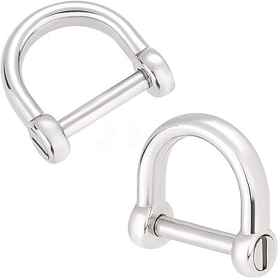 2Pcs 304 Stainless Steel D-Ring Anchor Shackle Clasps STAS-CA0001-56A-1