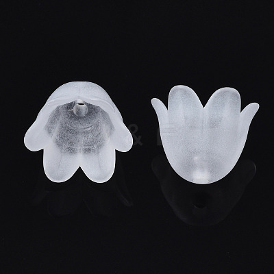 Transparent Acrylic Bead Caps FACR-N005-002A-1