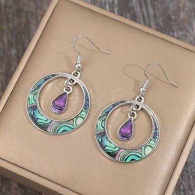 Bohemian Style Zinc Alloy Plastic Dangle Earrings FS-WG6C237-01-1