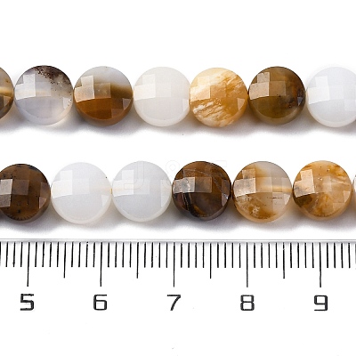 Natural Blue Chalcedony Beads Strands G-C179-A47-03-1