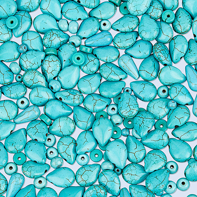 310Pcs 5 Styles Synthetic Turquoise & Howlite Beads Sets TURQ-PA0001-02-1