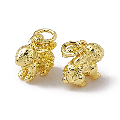 Rack Plating Brass Charms X-KK-C007-17G-1