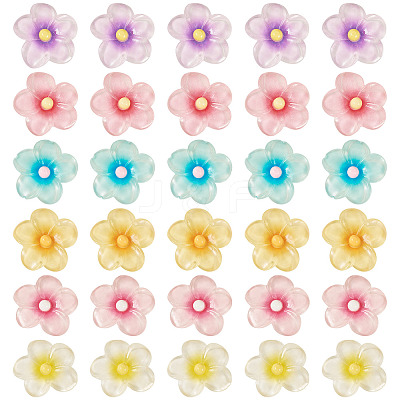 30Pcs 6 Colors Transparent Resin Cabochons RESI-TA0004-45-1