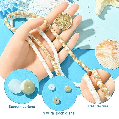 1 Strand Natural Trochid Shell/Trochus Shell Beads Strands SSHEL-YW0001-12A-1