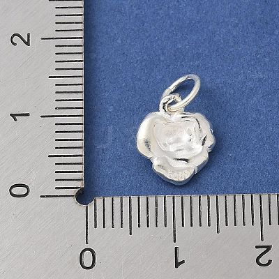 S925 Sterling Silver Pendant STER-H115-08C-S-1