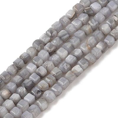 Natural Freshwater Shell Dyed Beads Strands SHEL-R100-11A-02-1