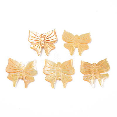 Natural Yellow Shell Charms SSHEL-R144-36-1