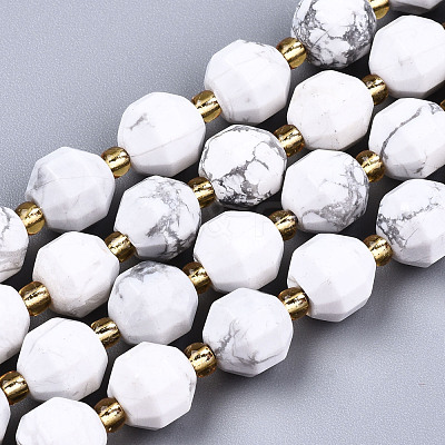 Natural Howlite Beads Strands G-T131-81A-1