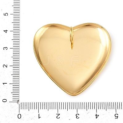 304 Stainless Steel Big Pendants X-STAS-B115-05B-1