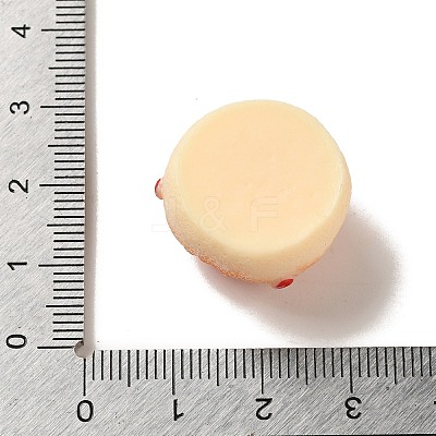 Opaque Resin Imitation Food Decoden Cabochons LS-CRES-A058-02D-1