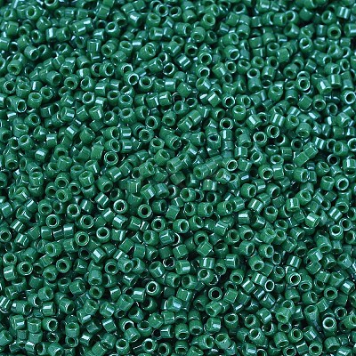 MIYUKI Delica Beads X-SEED-J020-DB0656-1