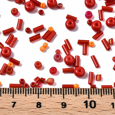 FGB Glass Seed Beads SEED-S056-006-1