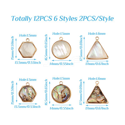 12Pcs 6 Styles Natural Shell Pendant Sets SHEL-CD0001-03-1