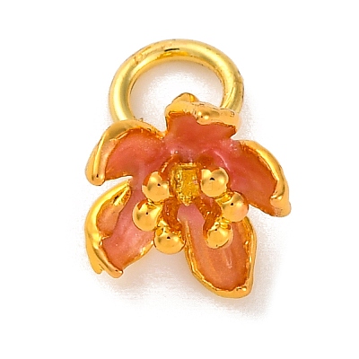 Brass Enamel Charms KK-U042-14G-01-1