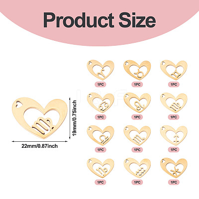 12Pcs 12 Styles 316L Stainless Steel Pendants STAS-TA0003-21G-1