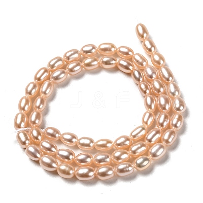Natural Cultured Freshwater Pearl Beads Strands PEAR-L033-63B-1
