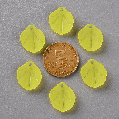Transparent Frosted Acrylic Pendants MACR-S371-02A-717-1