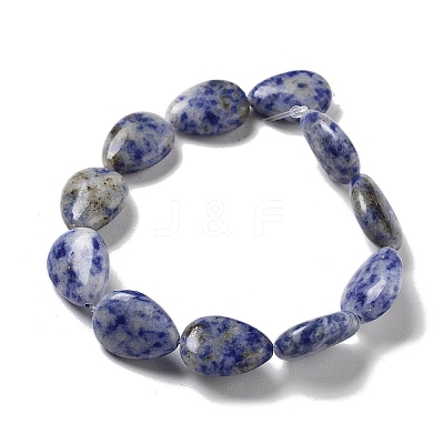 Natural Blue Spot Jasper Beads Strands G-P528-L17-01-1