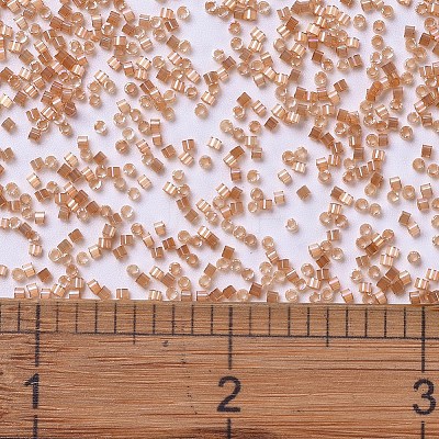 MIYUKI Delica Beads X-SEED-J020-DB1864-1