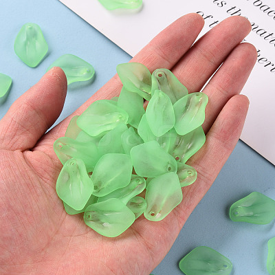 Transparent Frosted Acrylic Pendants MACR-S371-03A-733-1