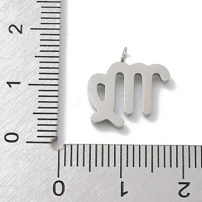 304 Stainless Steel Micro Pave Cubic Zirconia Charms STAS-Z107-09P-10-1