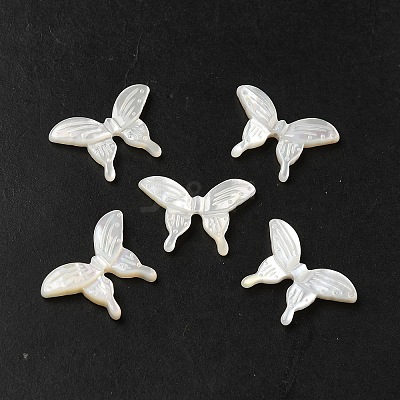 Natural White Shell Beads SHEL-M021-09A-1