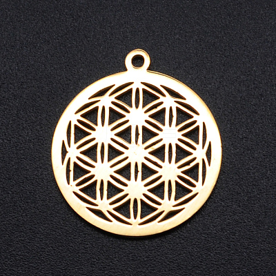 304 Stainless Steel Sacred Geometric Pendants LS-STAS-S105-JN899-2-1