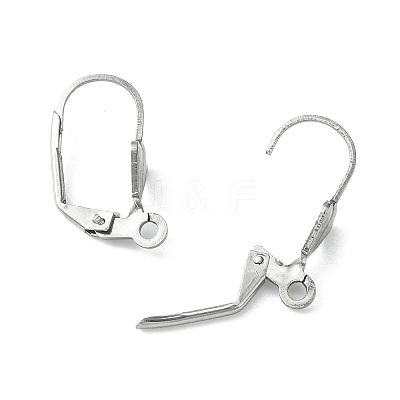 Tarnish Resistant 304 Stainless Steel Leverback Earring Findings X-STAS-E007-2-1